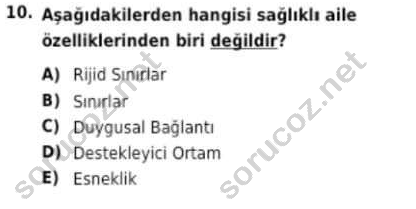 auzef cocukgelisimlisans 94 10