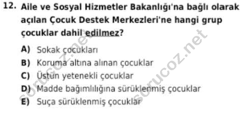 auzef cocukgelisimlisans 94 12