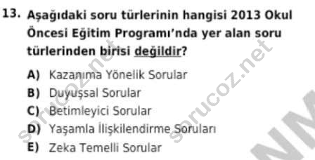 auzef cocukgelisimlisans 94 13