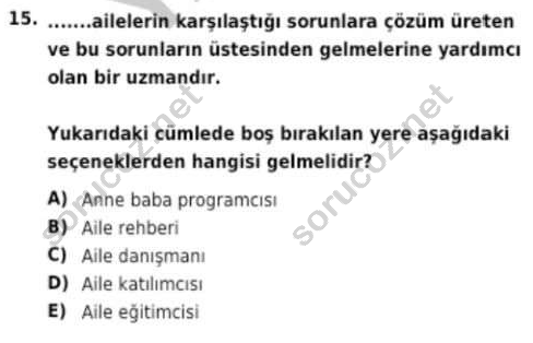 auzef cocukgelisimlisans 94 15