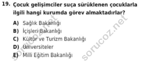 auzef cocukgelisimlisans 94 19