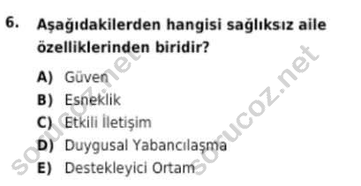 auzef cocukgelisimlisans 94 6