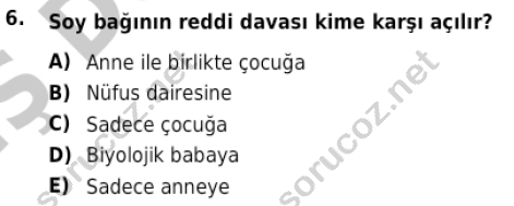 auzef cocukgelisimlisans 81 6