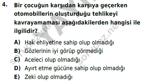 auzef cocukgelisimlisans 81 4