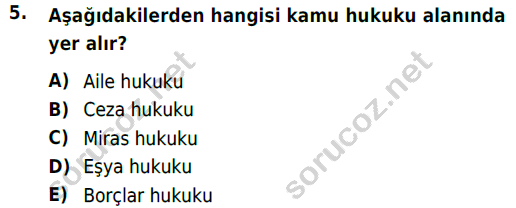 auzef cocukgelisimlisans 81 5