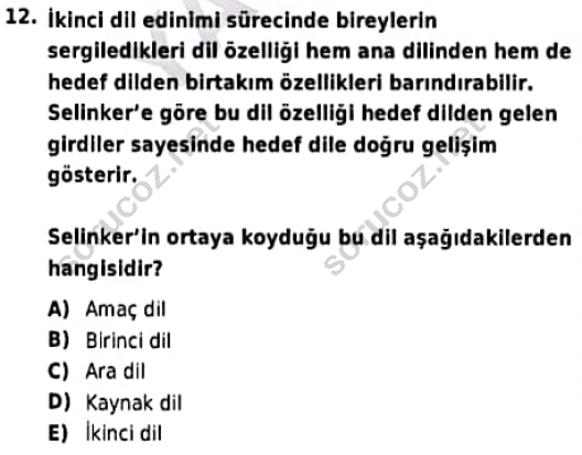 auzef cocukgelisimlisans 95 12