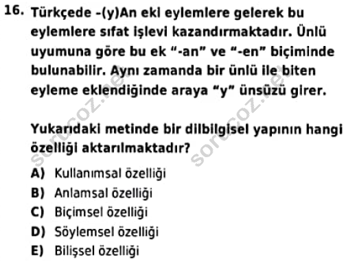 auzef cocukgelisimlisans 95 16