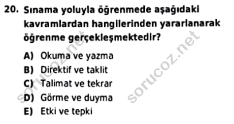 auzef cocukgelisimlisans 95 20