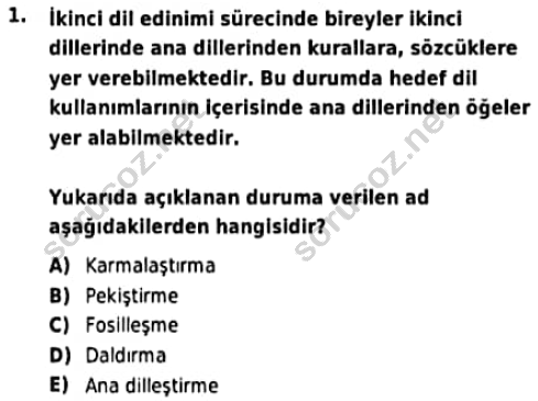 auzef cocukgelisimlisans 95 1