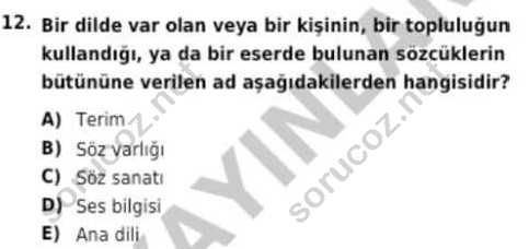 auzef cocukgelisimlisans 95 12