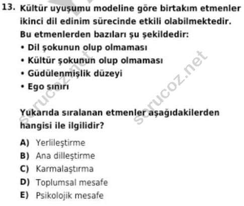 auzef cocukgelisimlisans 95 13