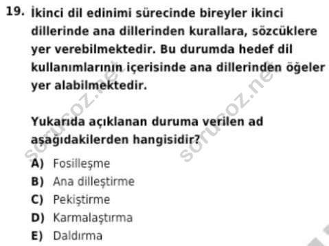 auzef cocukgelisimlisans 95 19