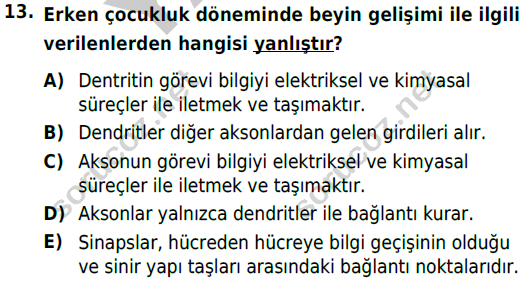 auzef cocukgelisimlisans 71 13