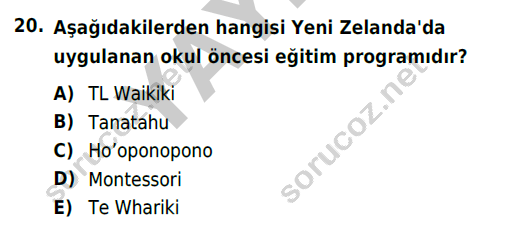 auzef cocukgelisimlisans 71 20