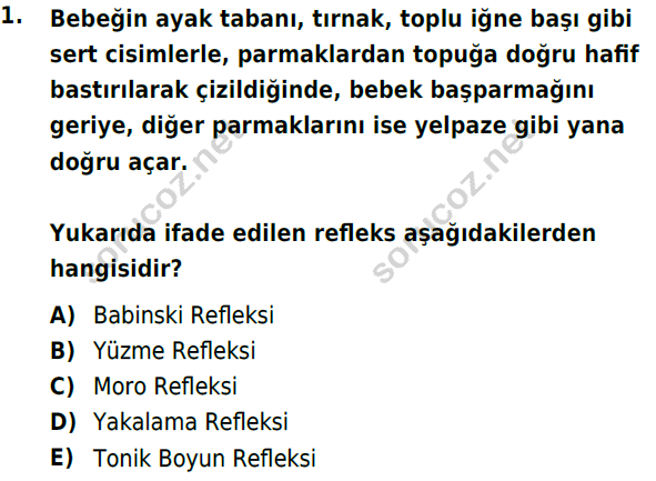 auzef cocukgelisimlisans 72 1