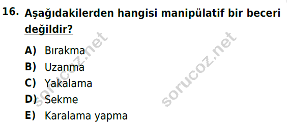 auzef cocukgelisimlisans 72 16