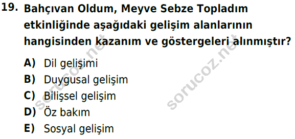 auzef cocukgelisimlisans 72 19