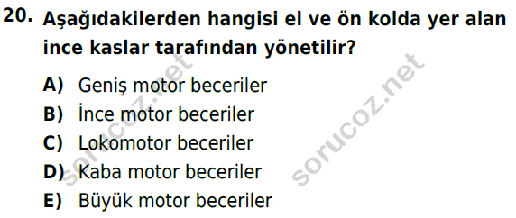 auzef cocukgelisimlisans 72 20