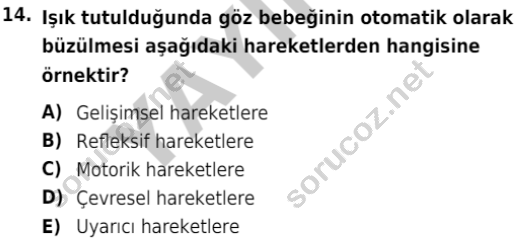 auzef cocukgelisimlisans 72 14