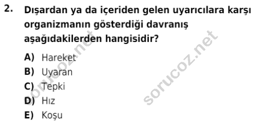 auzef cocukgelisimlisans 72 2