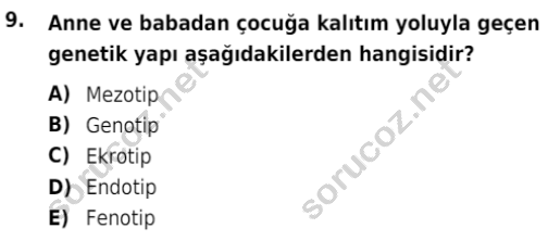 auzef cocukgelisimlisans 72 9