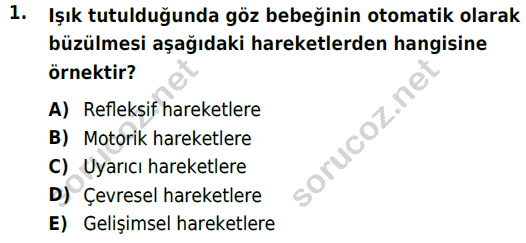 auzef cocukgelisimlisans 72 1