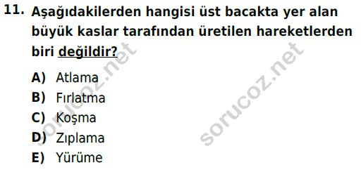 auzef cocukgelisimlisans 72 11