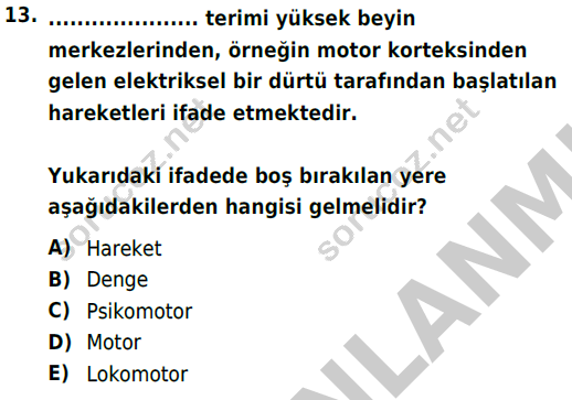 auzef cocukgelisimlisans 72 13