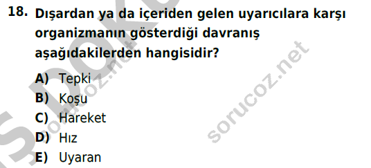 auzef cocukgelisimlisans 72 18