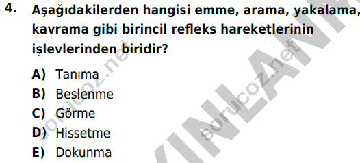 auzef cocukgelisimlisans 72 4