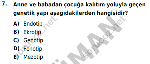 auzef cocukgelisimlisans 72 7