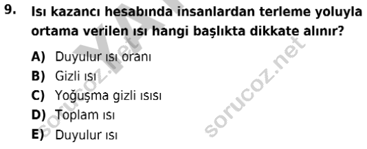 auzef isglisans 364 9