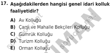 auzef siyasetbil 560 17