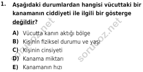 auzef cocukgelisimlisans 80 1