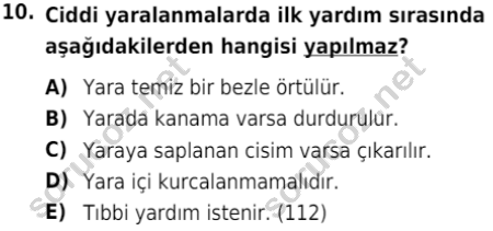 auzef cocukgelisimlisans 80 10