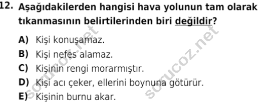 auzef cocukgelisimlisans 80 12