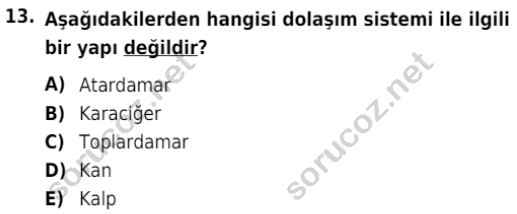 auzef cocukgelisimlisans 80 13