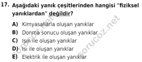 auzef cocukgelisimlisans 80 17