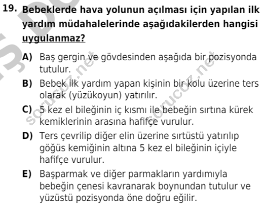 auzef cocukgelisimlisans 80 19