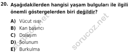 auzef cocukgelisimlisans 80 20