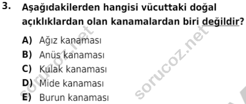 auzef cocukgelisimlisans 80 3