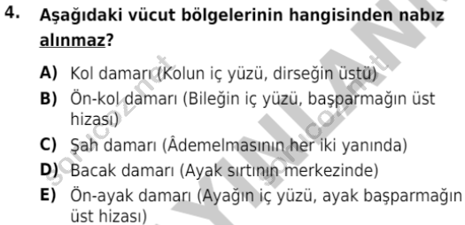 auzef cocukgelisimlisans 80 4