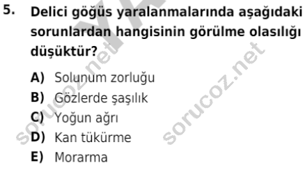 auzef cocukgelisimlisans 80 5