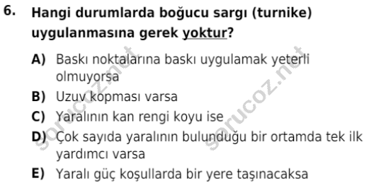 auzef cocukgelisimlisans 80 6