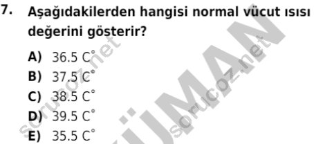 auzef cocukgelisimlisans 80 7