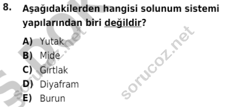 auzef cocukgelisimlisans 80 8