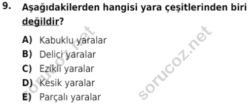 auzef cocukgelisimlisans 80 9