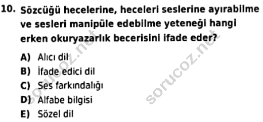 auzef cocukgelisimlisans 96 10