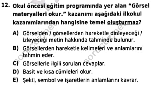 auzef cocukgelisimlisans 96 12