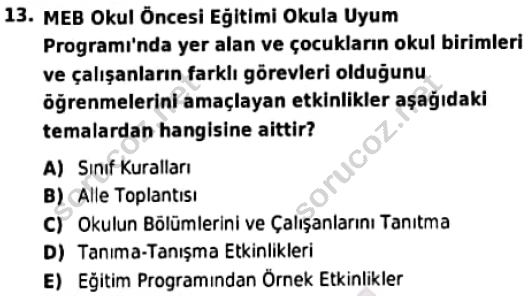 auzef cocukgelisimlisans 96 13